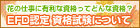 EFD�F�莑�i�����ɂ���
