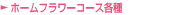 �z�[���t�����[�R�[�X�e��