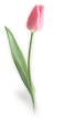 �t�����[�A�����W�����g