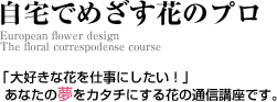 �u�t�����[�A�����W�����g�������J�������I�v�u���Ԃ̎d�����������I�v���Ȃ��̖����J�^�`�ɂ���Ԃ̒ʐM�u���ł�