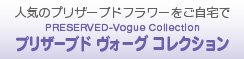 PRESERVED-Vogue Collection プリザーブド ヴォーグ コレクション