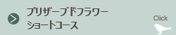 プリザーブドフラワー総合1級ライセンスショートコース